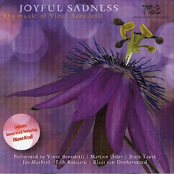 joyful-sadness-music-vince-benedetti