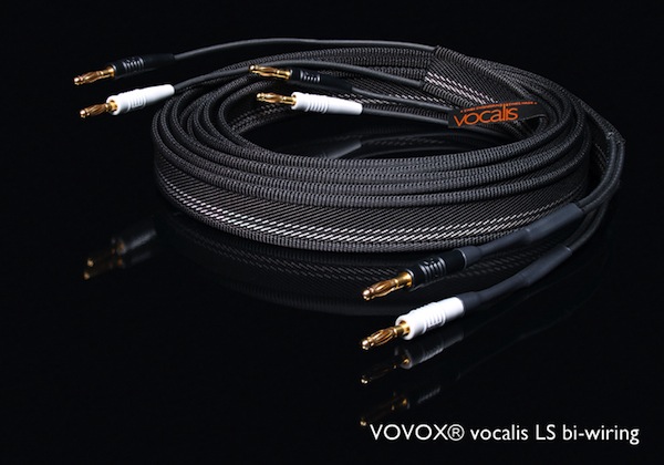 Vovox-Vocalis-BS