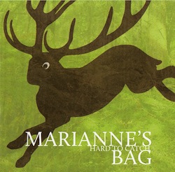 mariannes-hard-tocatch-bag