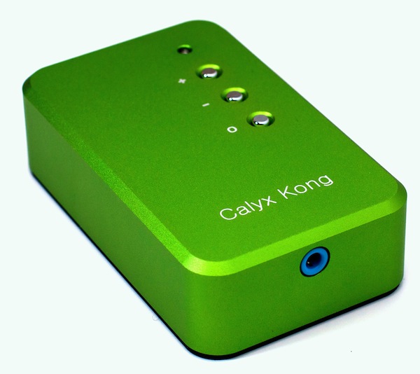 Calyx Audio, tout pour la musique numérique : des DAC USB les plus