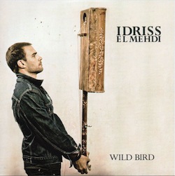 idriss-mehdi-wild-bird