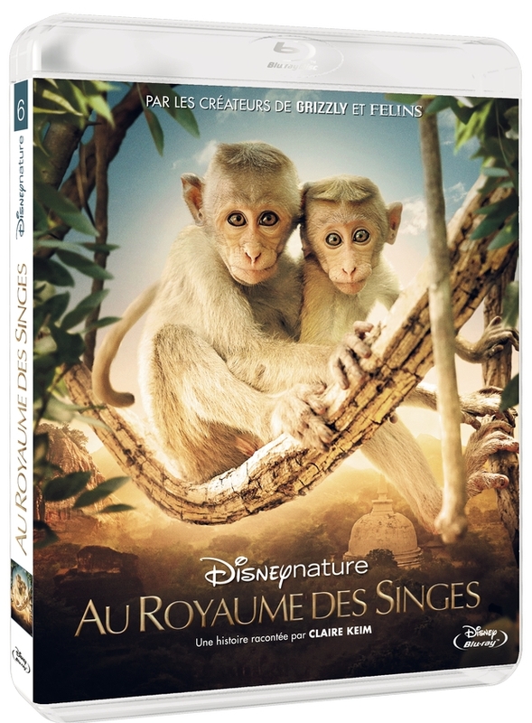 Blu ray Au Royaume des singes