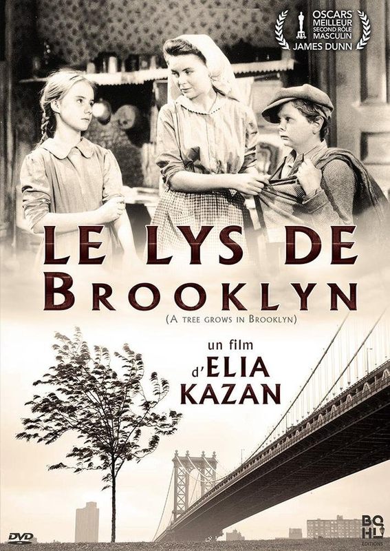 DVD Le Lys de Brooklyn