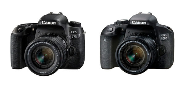 Canon 77D 800D