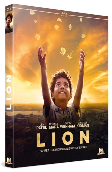 Blu ray Lion