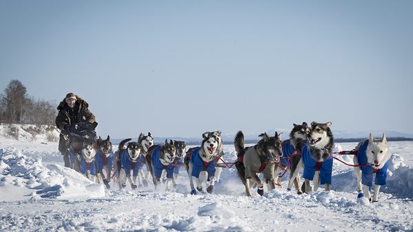 Blu ray Iditarod La derniere course de Nicolas Vanier 01