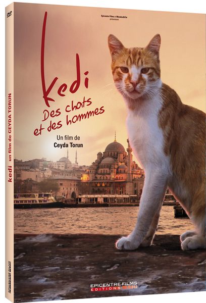 DVD Kedi Des chats et des hommes