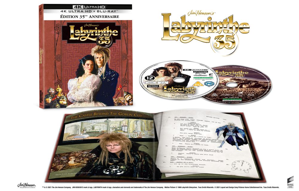 Coffret DVD Le Labyrinthe La Trilogie pas cher 